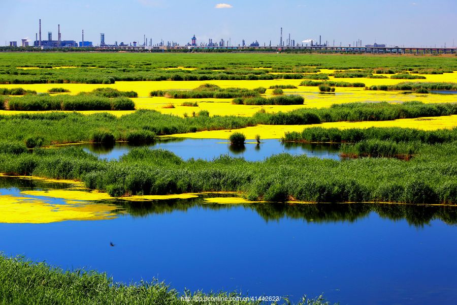 安达东湖湿地