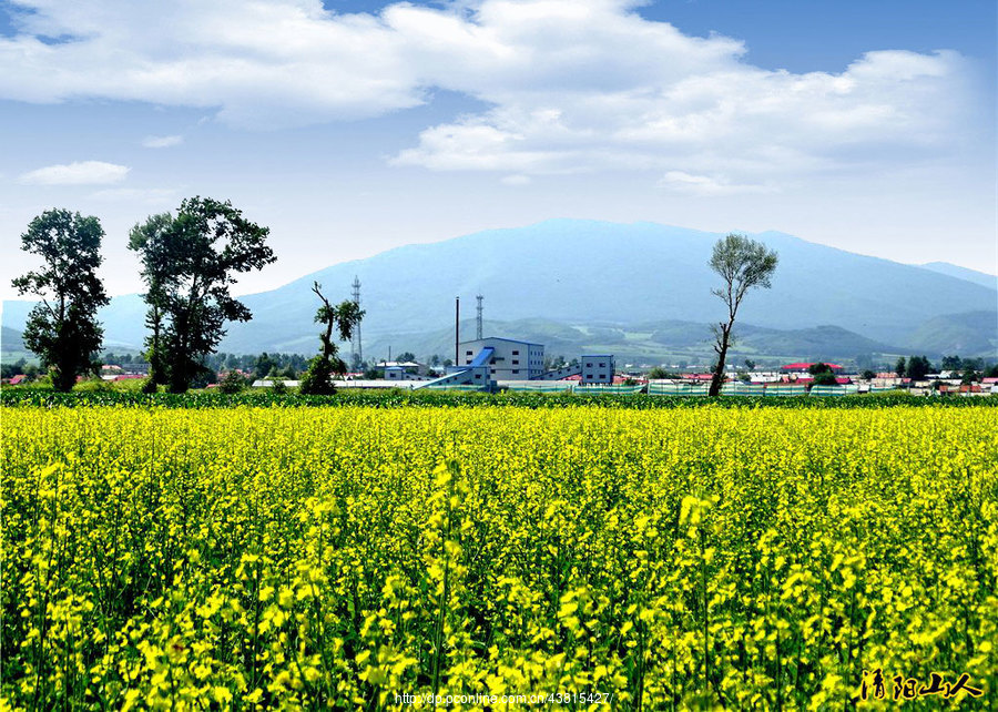 宝清县风景【家乡景色】清阳山人