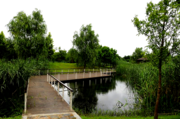 肖甸湖囯家湿地公园