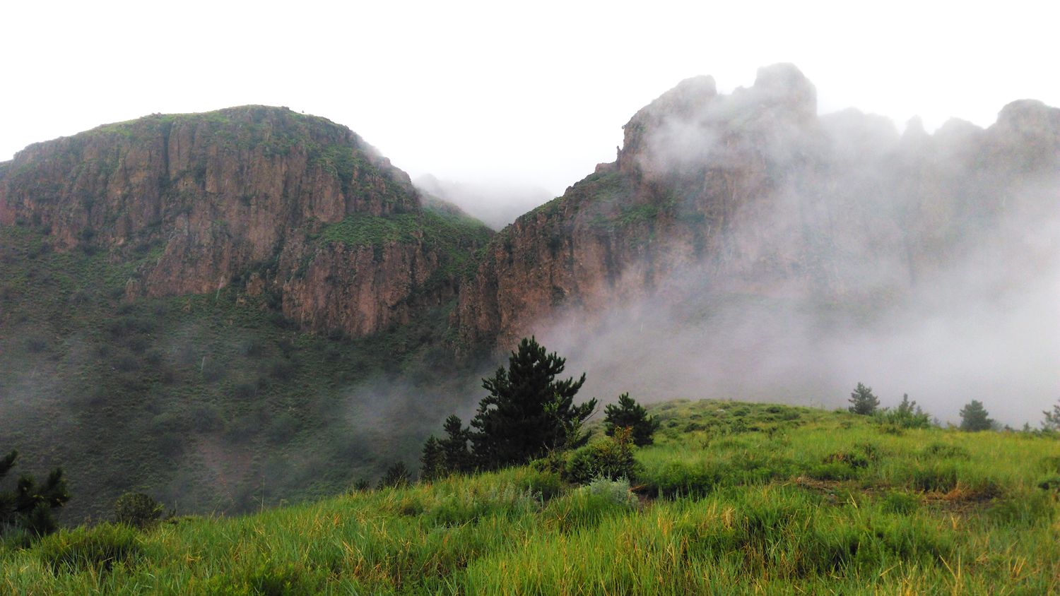 龙山美