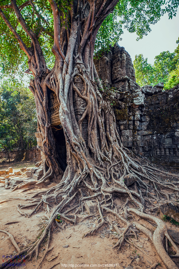 Angkor֮Part1