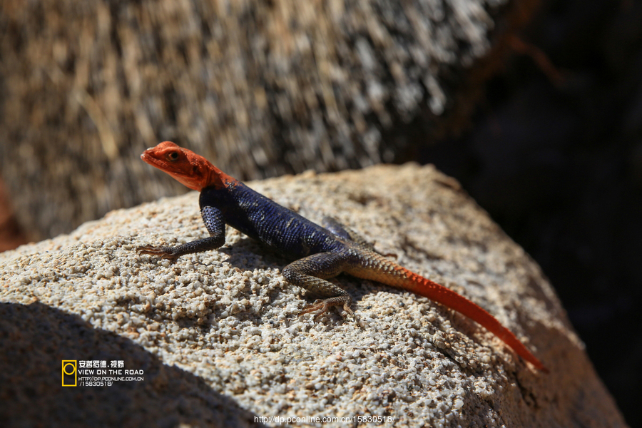 NAMIBIA