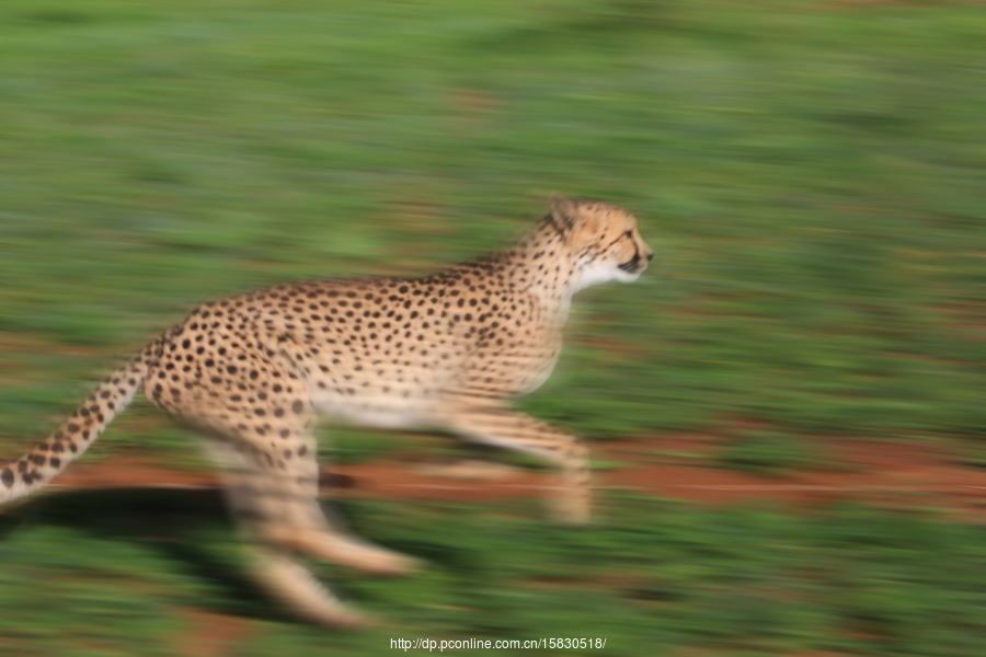 NAMIBIA