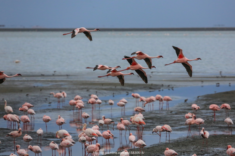 NAMIBIA