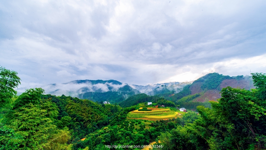 风声风景图片