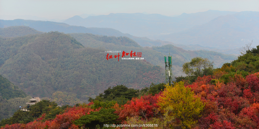 Ҷ֪