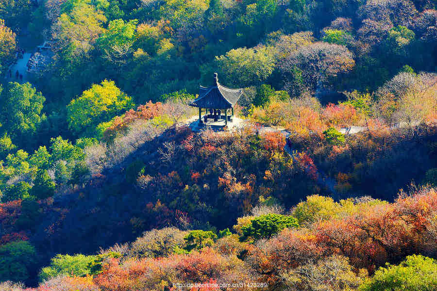 香山秋景图片