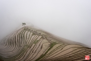 桂林风光——烟雨龙脊
