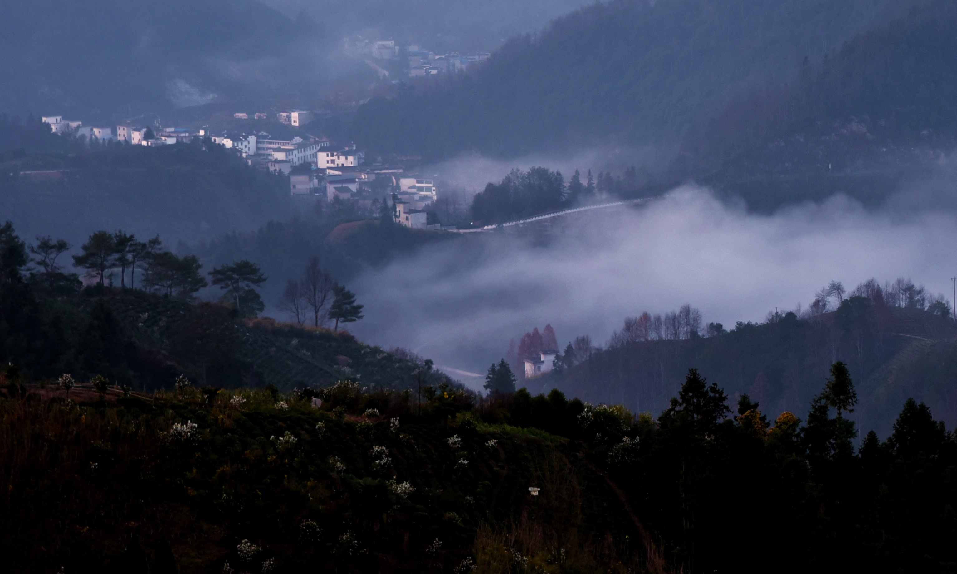 坡山村雲霧