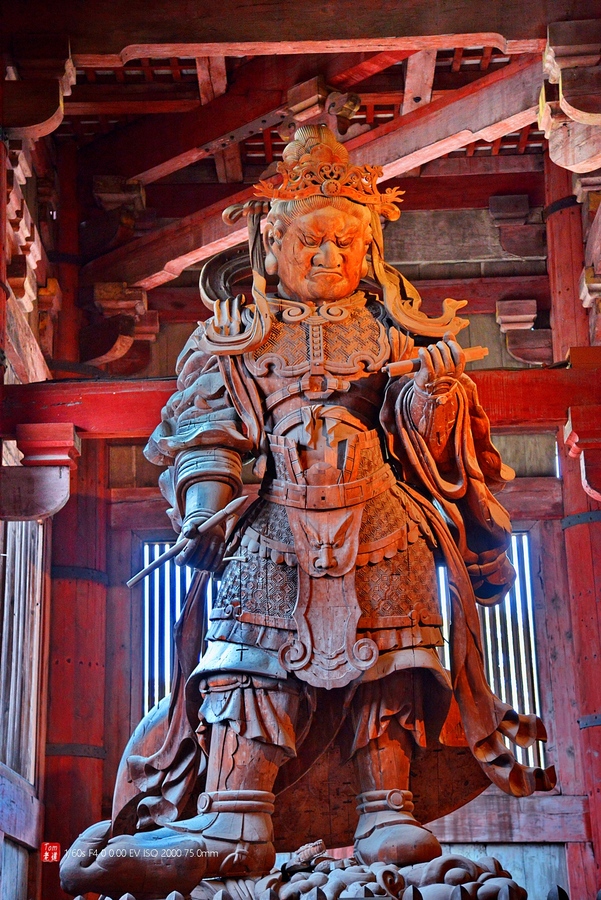 日本奈良东大寺与神鹿公园(共p)