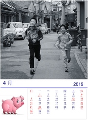 2019ͬ棩