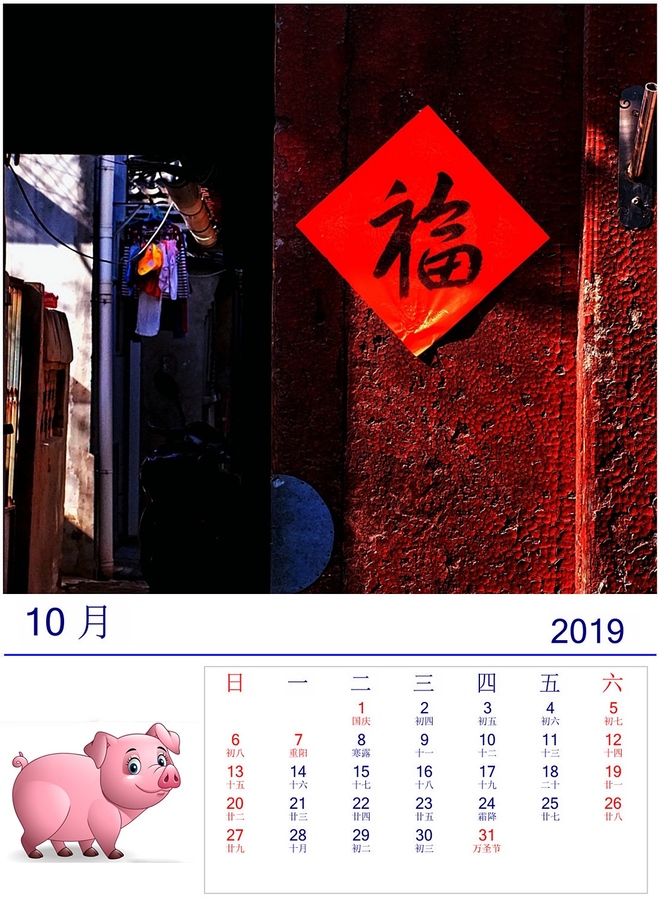 2019ͬ棩