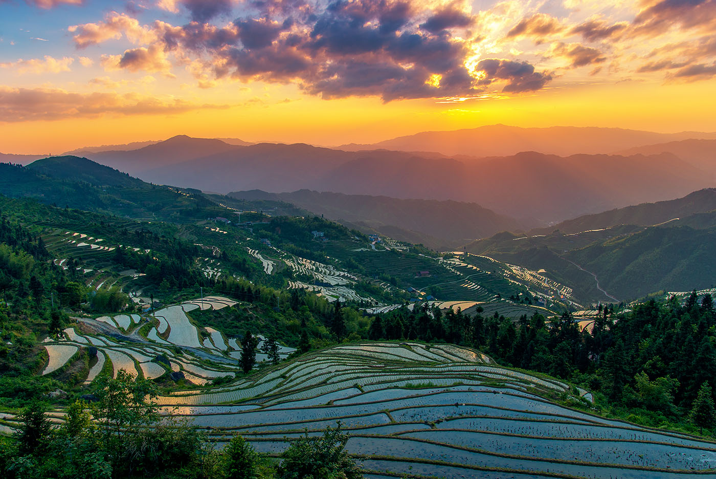 山背花瑶梯田