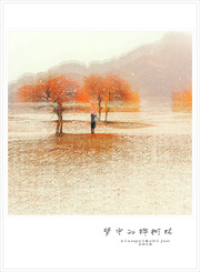 画意摄影 ‖ 油彩中的桦树林