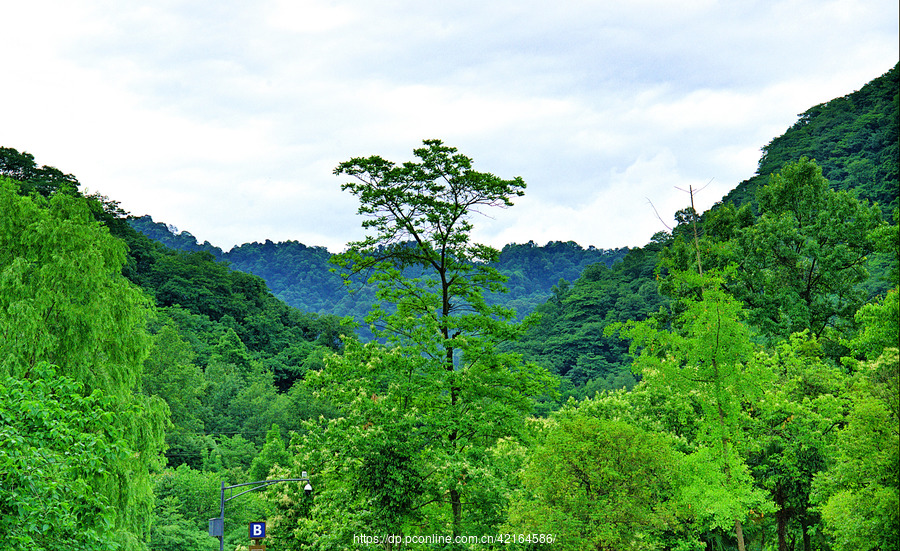 青城山云海图片