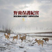 中国野生麋鹿保护纪实