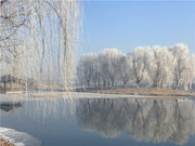刘勇良数码摄影作品：冬天的童话