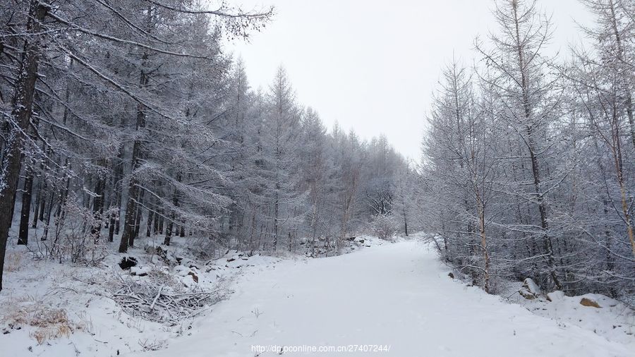 林海雪原图案图片