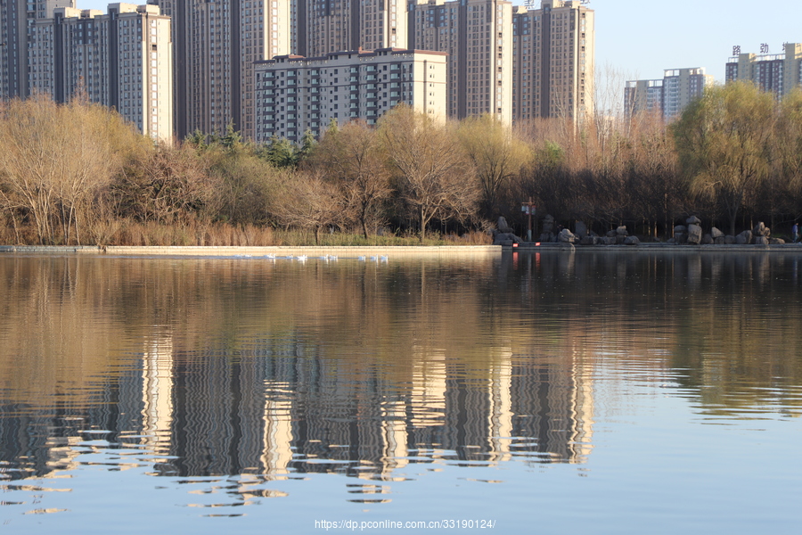 洛阳湖园图片