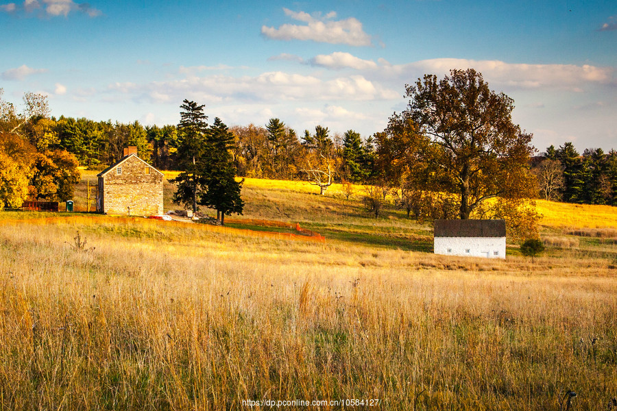 ݵĸ(Valley Forge)Сľ