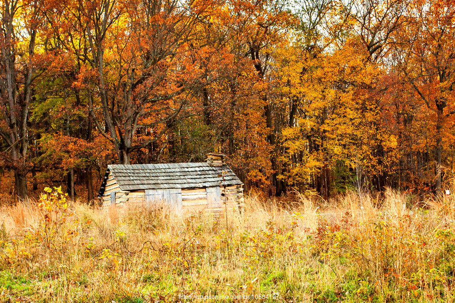 ݵĸ(Valley Forge)Сľ