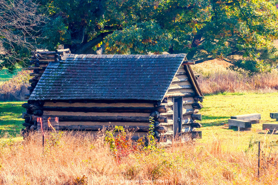 ݵĸ(Valley Forge)Сľ