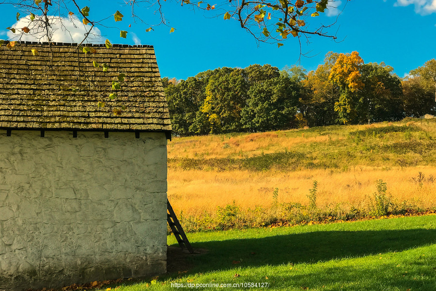 ݵĸ(Valley Forge)Сľ