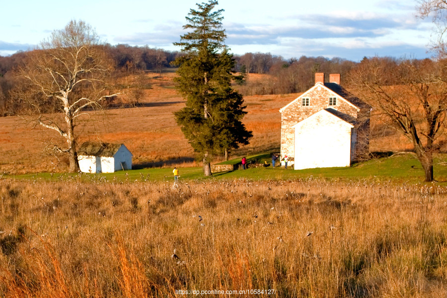 ݵĸ(Valley Forge)Сľ