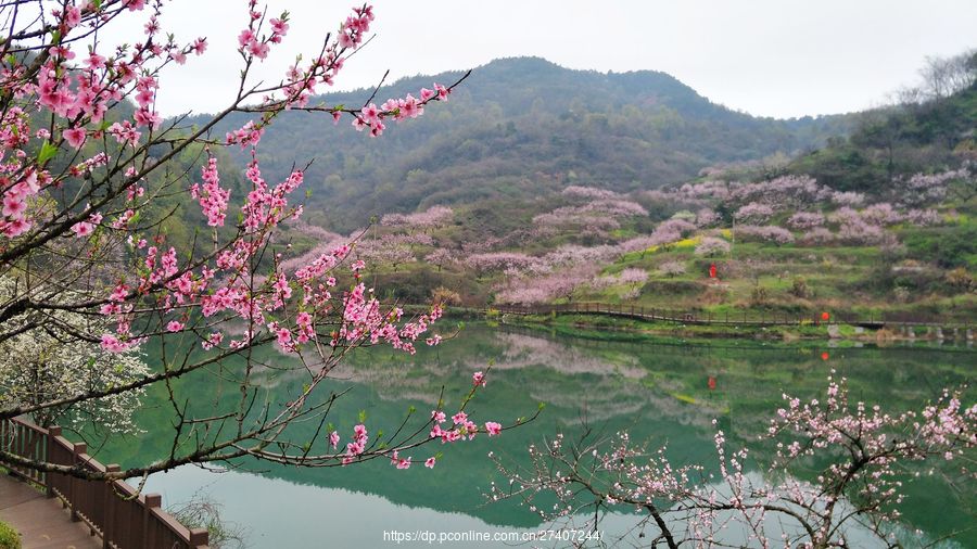 大冶保安镇沼山村旅游图片