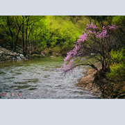 “桃花源”记（太白县）