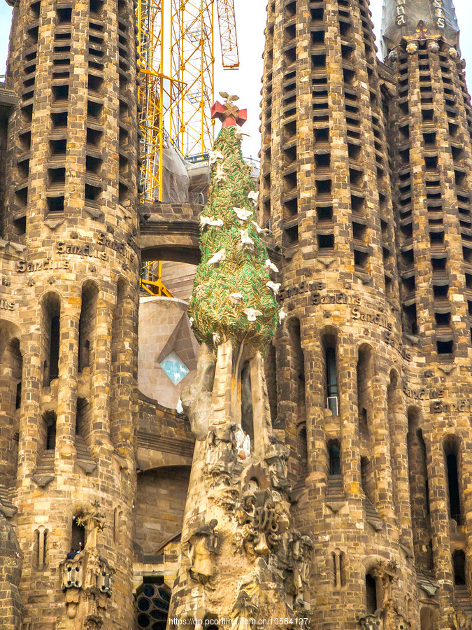 ʥ(Sagrada Famlia), ͳĳʵ