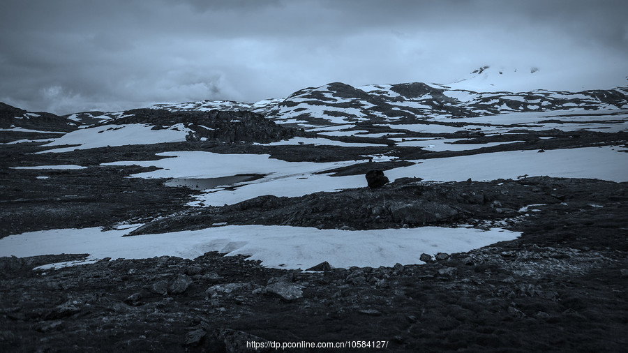 Ųݼ(Sognefjellet)ɽɽ