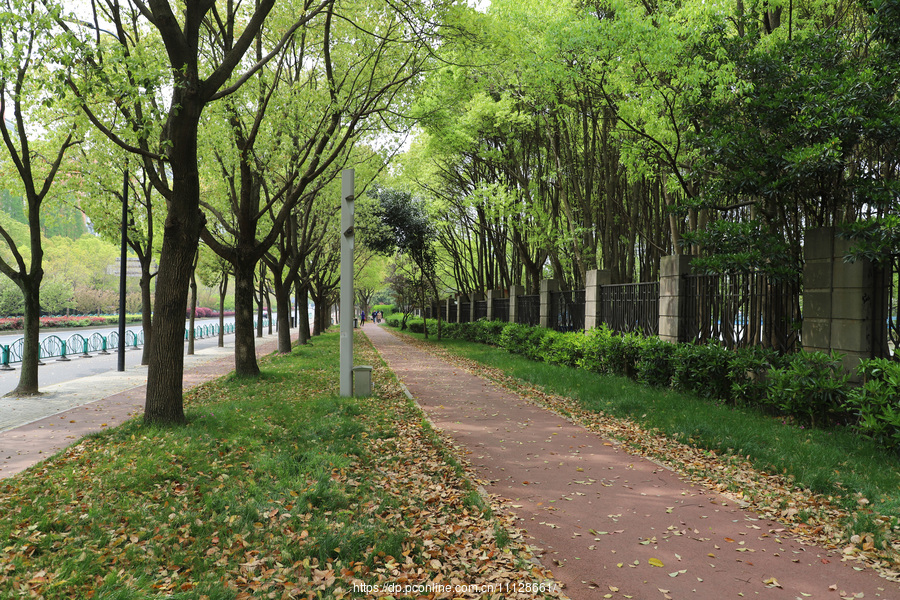 上海世纪公园健身步道