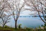 千岛湖畔（2019）