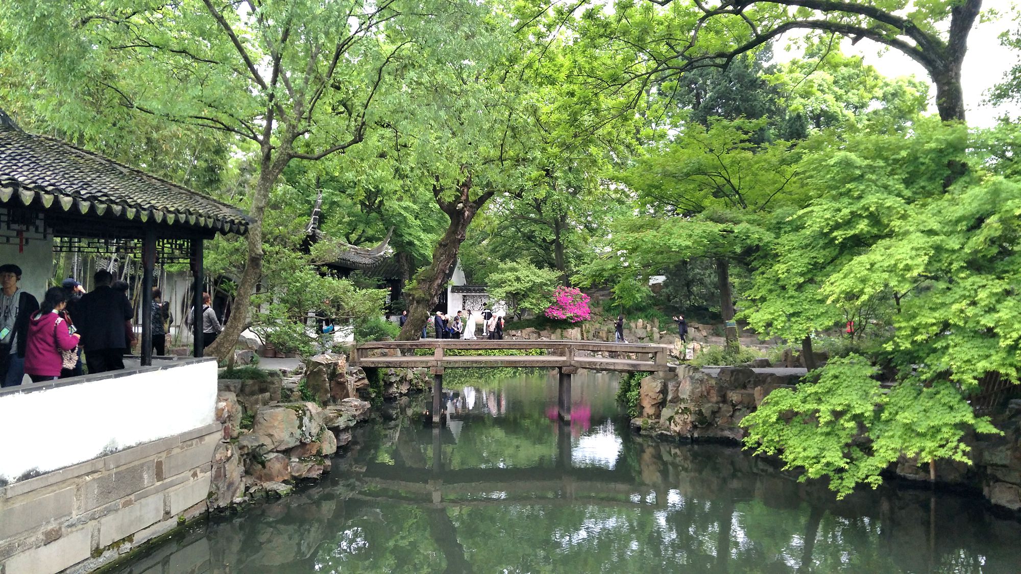 苏州拙政园(一)