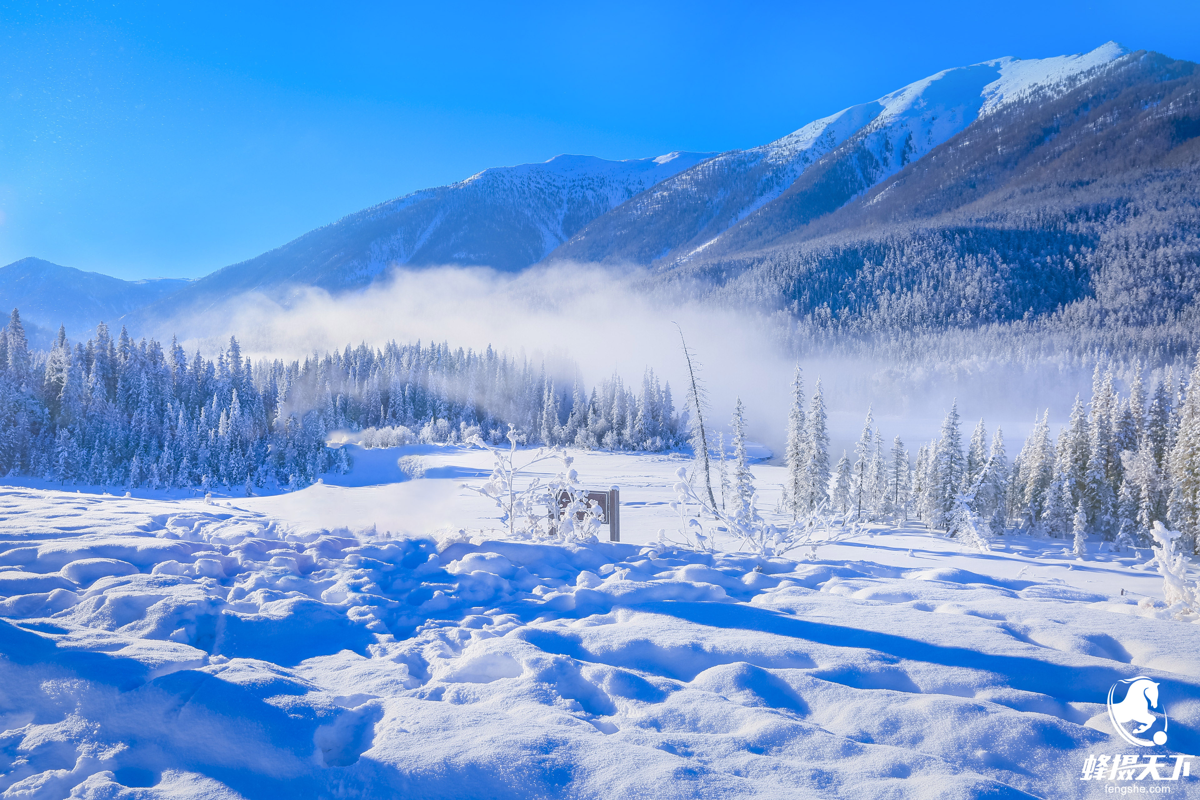 蜂摄天下—新疆雪景,白雪皑皑中的静寂之美