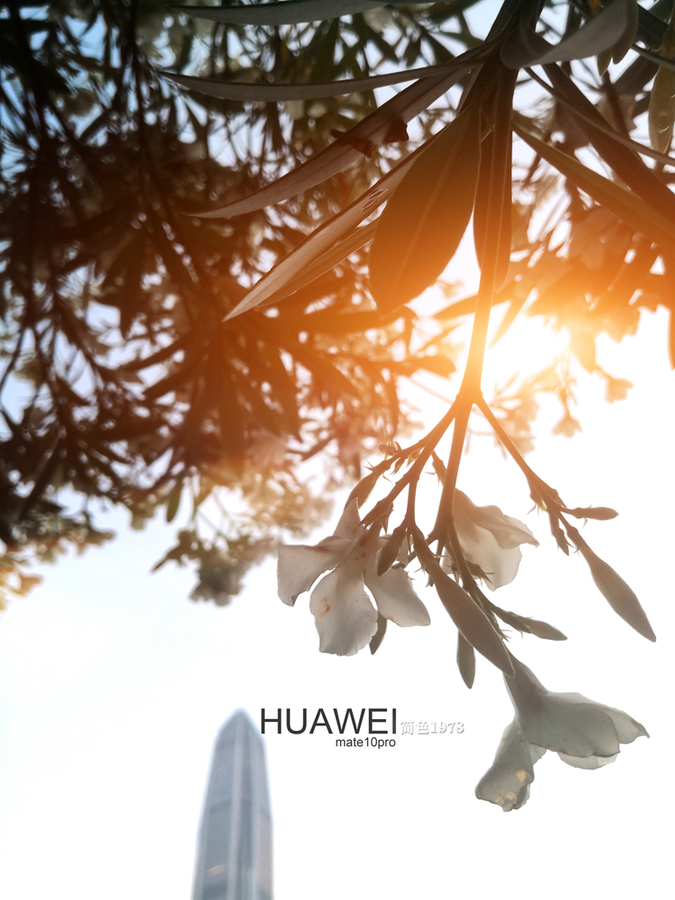 HUAWEImate10pro