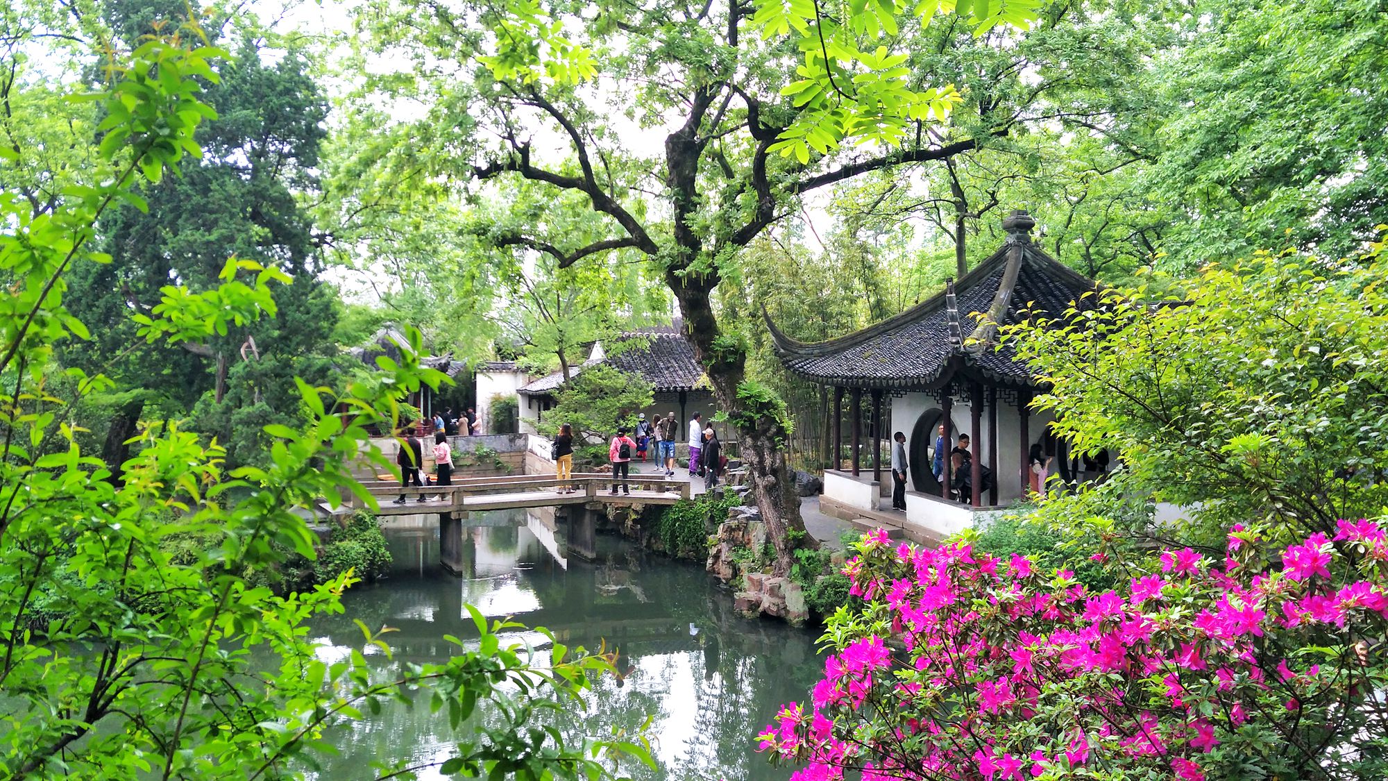 【携程攻略】苏州苏州中国花卉植物园景点,性价比高，