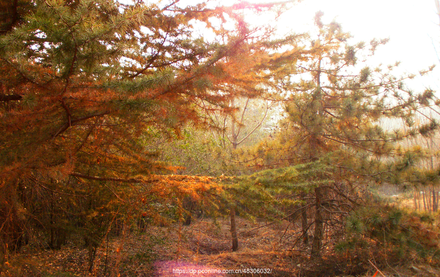 ֮