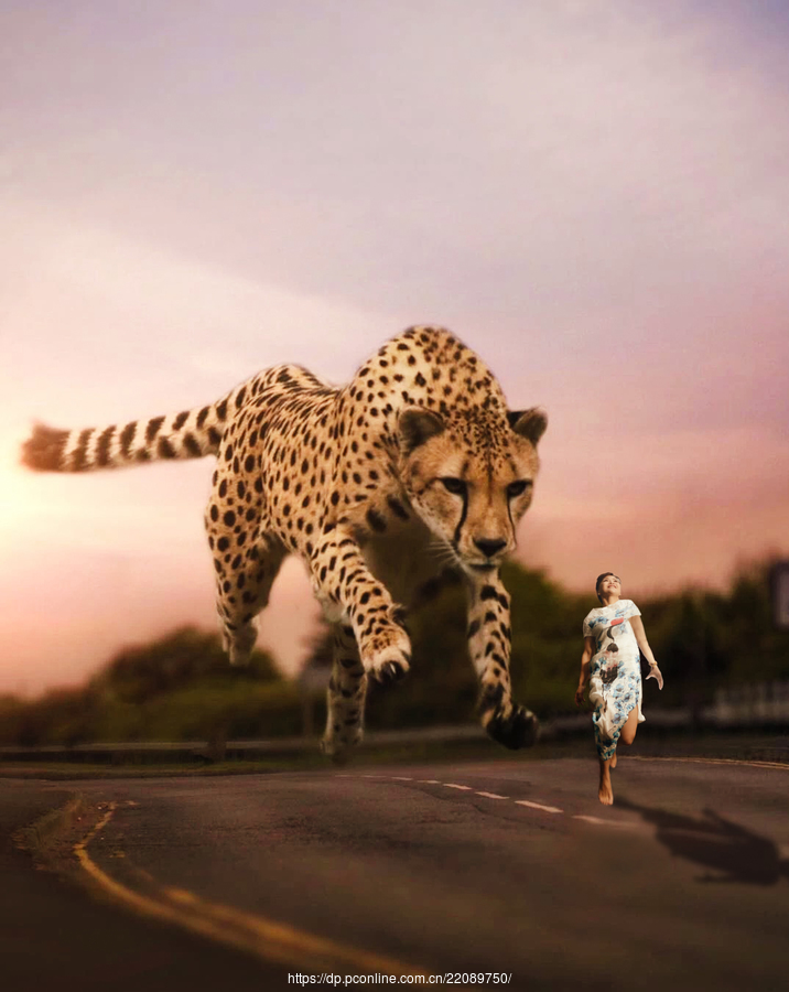 ƬϳɡŮҰ