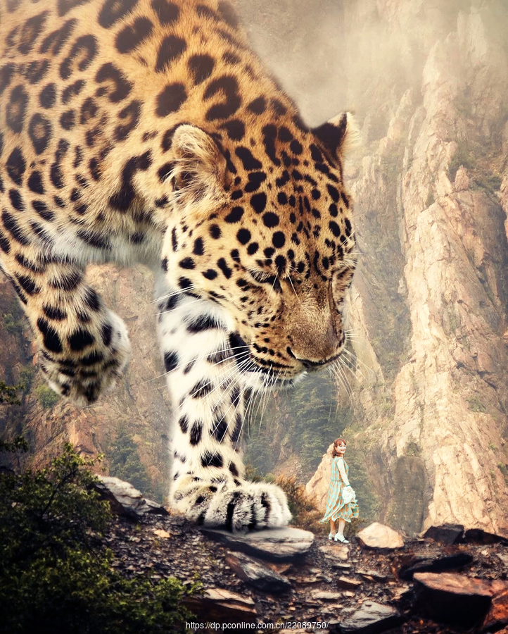 ƬϳɡŮҰ