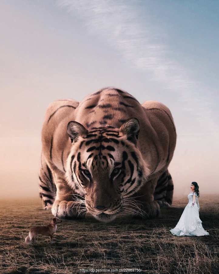 ƬϳɡŮҰ
