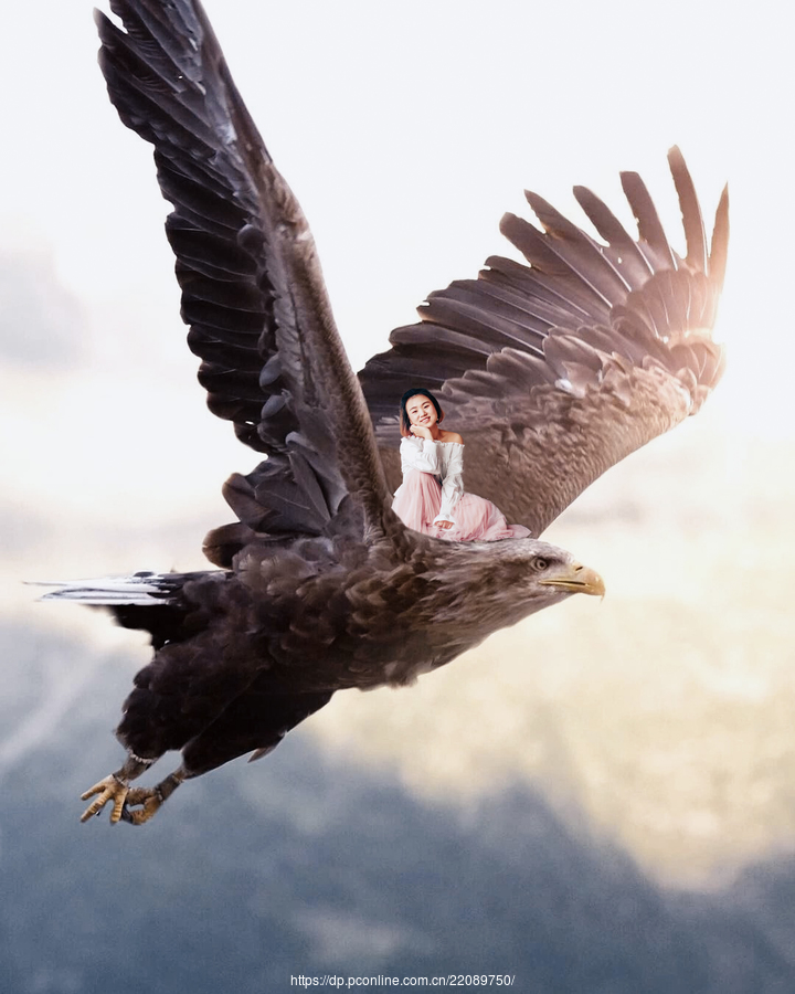 ƬϳɡŮҰ