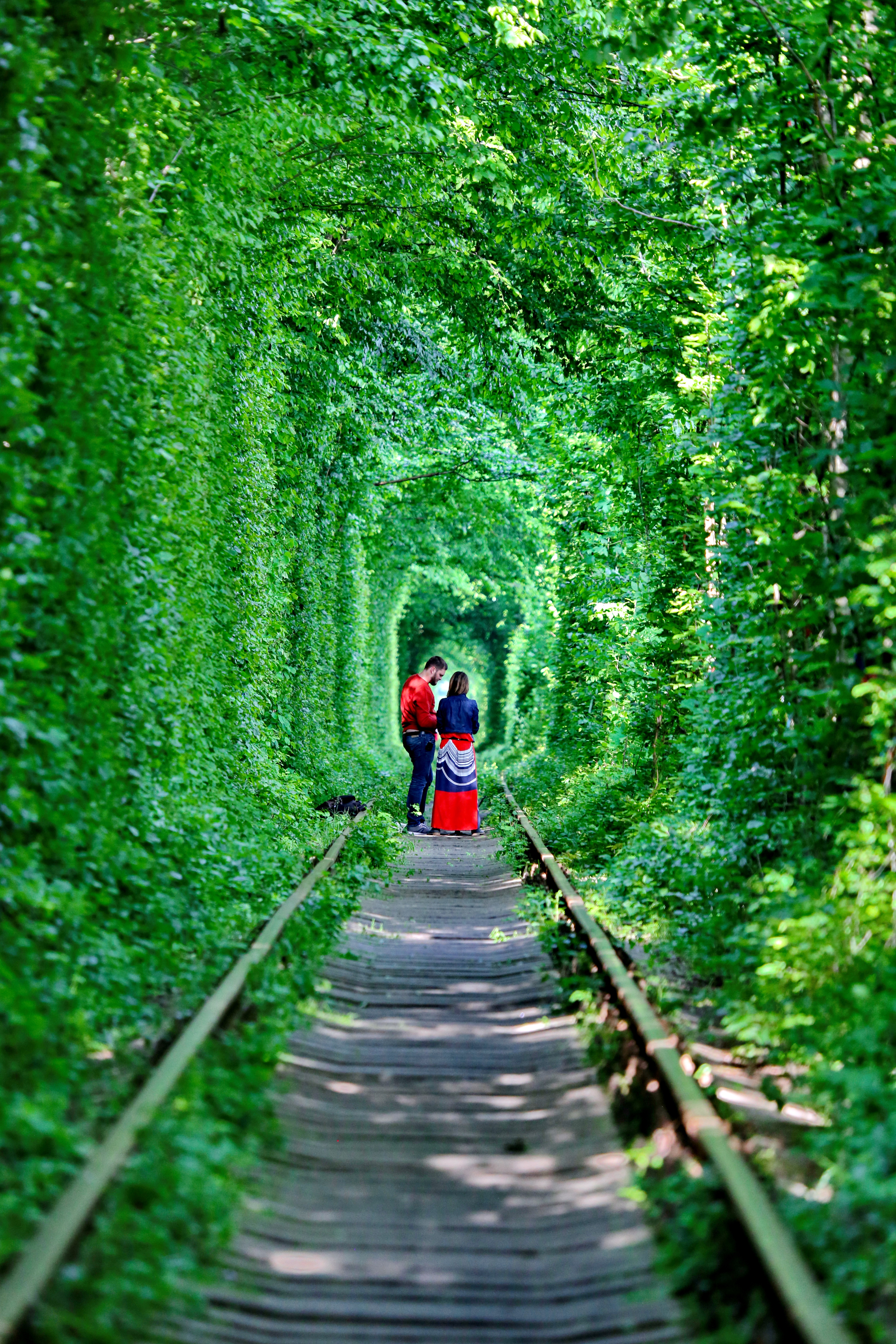 独一无二的景观——“爱情隧道”