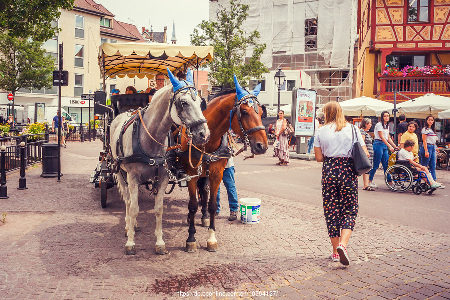 ƶ(Colmar)С˶