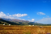 大美新疆之五——那拉提草原