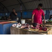海产市场--斯里兰卡游6