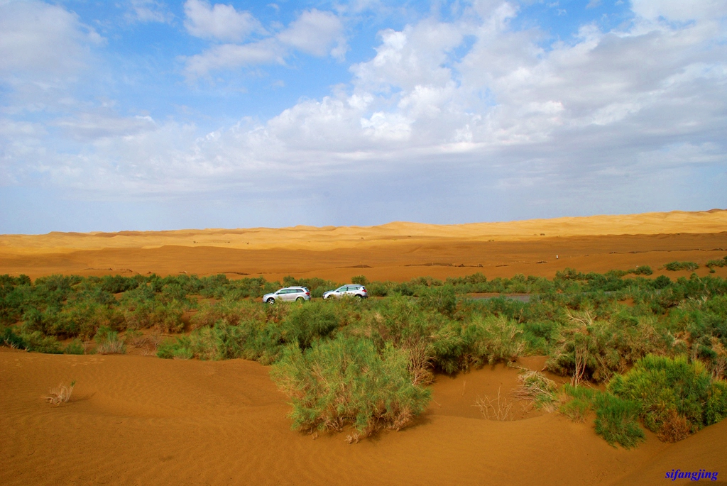 大美新疆之六——塔里木沙漠公路
