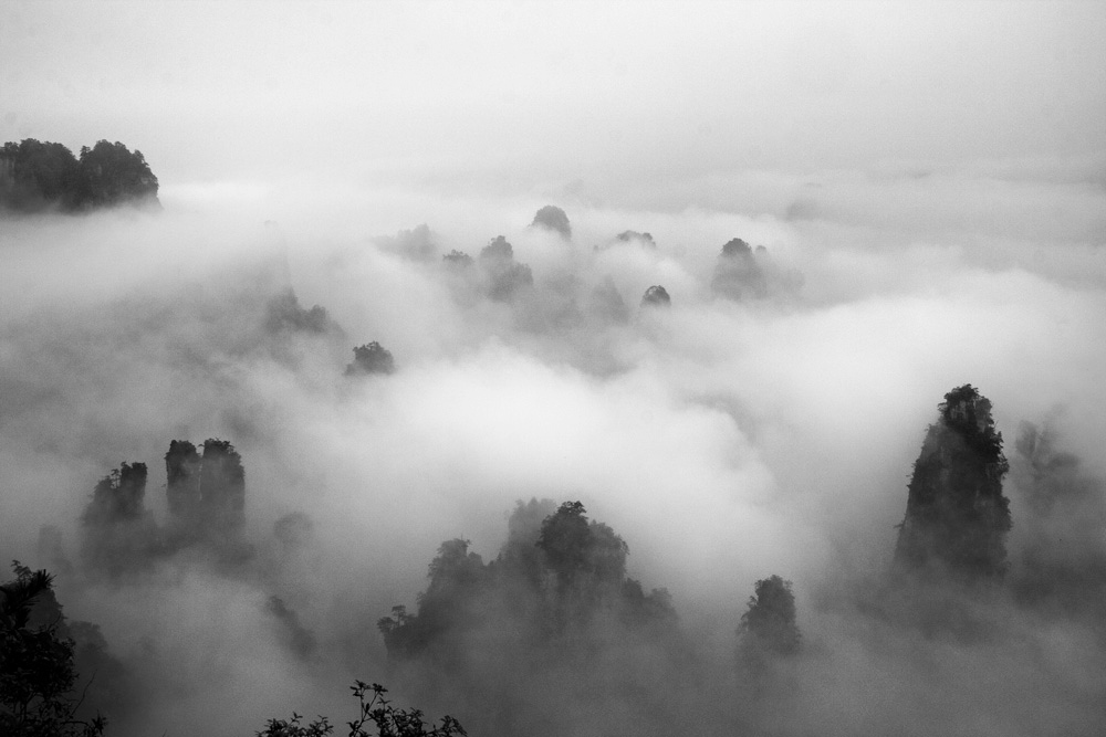 云山雾罩