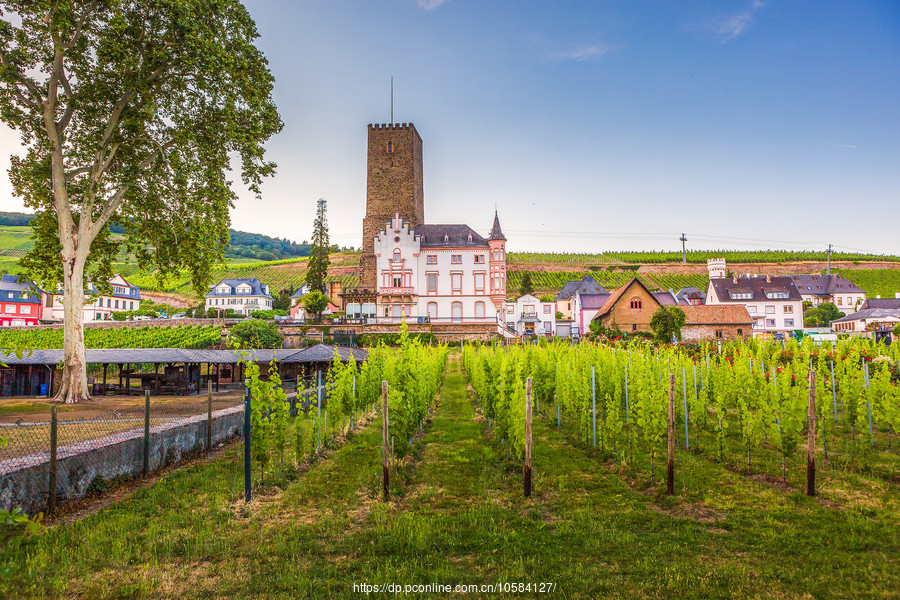 ¹˹ķ(Rudesheim)ϵС